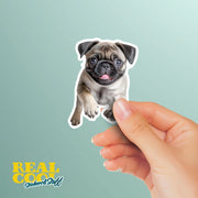 Pug Running Sticker - Pug Decal for Water Bottles, Car & Laptop - Cute Pug Dog Vinyl Decal