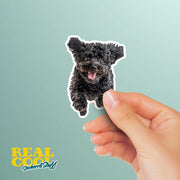 Poodle Running Sticker - Poodle Decal for Water Bottles, Car & Laptop - Cute Poodle Dog Vinyl Decal