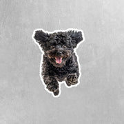 Poodle Running Sticker - Poodle Decal for Water Bottles, Car & Laptop - Cute Poodle Dog Vinyl Decal
