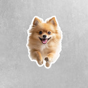 Pomeranian Running Sticker - Pomeranian Decal for Water Bottles, Car & Laptop - Cute Pomeranian Dog Vinyl Decal