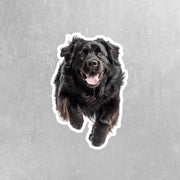 Newfoundland Dog Running Sticker - Newfoundland Decal for Water Bottles, Car & Laptop - Cute Newfoundland Dog Vinyl Decal