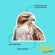 Hawk Sticker | Hawk Head Vinyl Decal for Car, Laptop & Water Bottle | Wild Bird Art % Nature Lover Gift