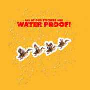 Duck Sticker | Flying Ducks Vinyl Decal for Car, Laptop & Water Bottle | Cute Outdoor Nature Gift