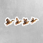 Duck Sticker | Flying Ducks Vinyl Decal for Car, Laptop & Water Bottle | Cute Outdoor Nature Gift