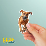 Running Rhodesian Ridgeback - Vinyl Dog Decal, Cute Rhodesian Ridgeback Art, Pet Lover Gift, Car Laptop Sticker, Dog Owner Accessory