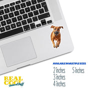 Running Rhodesian Ridgeback - Vinyl Dog Decal, Cute Rhodesian Ridgeback Art, Pet Lover Gift, Car Laptop Sticker, Dog Owner Accessory