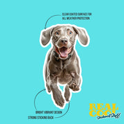 Running Weimaraner- Vinyl Dog Decal, Cute Weimaraner Decal, Pet Lover Gift, Car Laptop Sticker, Dog Owner Accessory