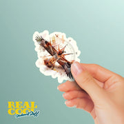 Hawk Sticker | Compass Sticker | Double Exposure Hawk Decal