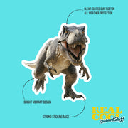 Tyrannosaurus Sticker | T-Rex Decal | Dinosaur Water Bottle Sticker