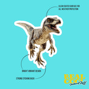 Velociraptor Sticker | Raptor Decal | Dinosaur Water Bottle Sticker