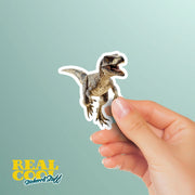 Velociraptor Sticker | Raptor Decal | Dinosaur Water Bottle Sticker