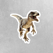 Velociraptor Sticker | Raptor Decal | Dinosaur Water Bottle Sticker