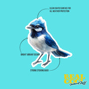 Blue Jay Sticker - Hand Drawn Vinyl Bird Decal for Laptops, Water Bottles, Planners, Scrapbooking, Nature-Inspired Gift for Wildlife Lovers