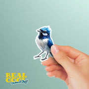 Blue Jay Sticker - Hand Drawn Vinyl Bird Decal for Laptops, Water Bottles, Planners, Scrapbooking, Nature-Inspired Gift for Wildlife Lovers