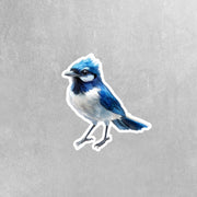 Blue Jay Sticker - Hand Drawn Vinyl Bird Decal for Laptops, Water Bottles, Planners, Scrapbooking, Nature-Inspired Gift for Wildlife Lovers