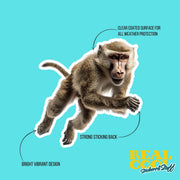 Baboon Sticker | Cute Animal Vinyl Decal for Laptops, Water Bottles & Journals | Hand-Drawn Art Decor