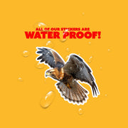 Hawk Sticker | Flying Hawk Decal for Car, Laptop & Wall | Bird of Prey Vinyl Art | Wildlife Lovers Decor