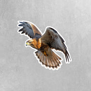 Hawk Sticker | Flying Hawk Decal for Car, Laptop & Wall | Bird of Prey Vinyl Art | Wildlife Lovers Decor