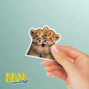 Hugging Lion Cubs Sticker | Cute Lion Cubs Decal for Laptop, Water Bottle, & Planner - Adorable Lion Cubs Gift for Any Occasion