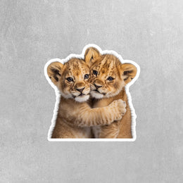 Hugging Lion Cubs Sticker | Cute Lion Cubs Decal for Laptop, Water Bottle, & Planner - Adorable Lion Cubs Gift for Any Occasion