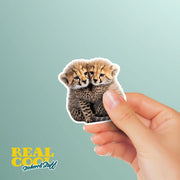 Hugging Cheetah Cubs Sticker | Cute Cheetah Cubs Decal for Laptop, Water Bottle, & Planner - Adorable Cheetah Cubs Gift for Any Occasion