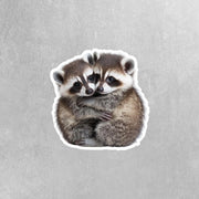 Hugging Racoons Sticker | Cute Racoons Decal for Laptop, Water Bottle, & Planner - Adorable Racoons Gift for Any Occasion