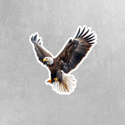 Eagle Sticker | Flying Eagle Decal | American Eagle Sticker