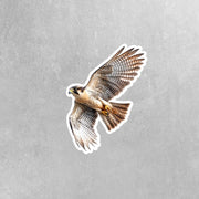 Falcon Sticker | Flying Falcon Decal | Cool Bird Art for Car, Laptop & Wall Decor | Nature Lover Gift Idea