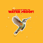 Hummingbird Sticker | Hummingbird Decal | Bird Lover Gift