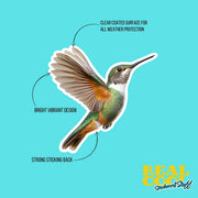 Hummingbird Sticker | Hummingbird Decal | Bird Lover Gift
