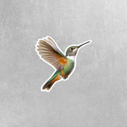 Hummingbird Sticker | Hummingbird Decal | Bird Lover Gift