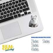 Arctic Fox Sticker | White Fox Sticker | Fox Decal