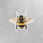 Bee Sticker | Bumble Bee Decal for Laptop, Water Bottle, Phone, Cute Insect Vinyl Art, Bee Lover Gift, Nature Decor