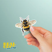 Bee Sticker | Bumble Bee Decal for Laptop, Water Bottle, Phone, Cute Insect Vinyl Art, Bee Lover Gift, Nature Decor