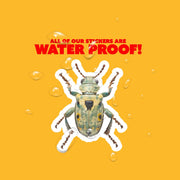 Vibrant Weevil Sticker - Waterproof, Weatherproof Vinyl Bug Sticker for Laptop, Water Bottle, Car, Nature Lovers