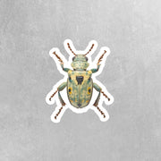 Vibrant Weevil Sticker - Waterproof, Weatherproof Vinyl Bug Sticker for Laptop, Water Bottle, Car, Nature Lovers
