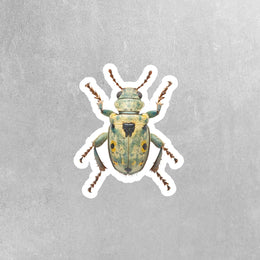 Vibrant Weevil Sticker - Waterproof, Weatherproof Vinyl Bug Sticker for Laptop, Water Bottle, Car, Nature Lovers