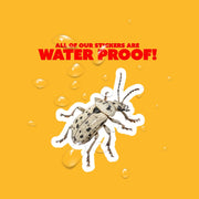 Vibrant Weevil Sticker - Waterproof, Weatherproof Vinyl Bug Sticker for Laptop, Water Bottle, Car, Nature Lovers