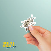 Vibrant Weevil Sticker - Waterproof, Weatherproof Vinyl Bug Sticker for Laptop, Water Bottle, Car, Nature Lovers