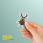 Stag Beetle Sticker - Beetle Decal - Unique Insect Art for Journals, Laptops & Decals - Nature Lover Gift, Waterproof, Durable Design