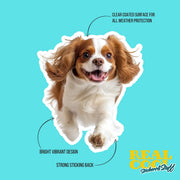Running Cavalier King Charles - Vinyl Dog Decal, Cute Cavalier King Charles Decal, Pet Lover Gift, Car Laptop Sticker, Dog Owner Accessory