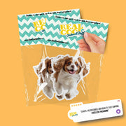 Running Cavalier King Charles - Vinyl Dog Decal, Cute Cavalier King Charles Decal, Pet Lover Gift, Car Laptop Sticker, Dog Owner Accessory