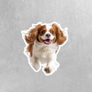 Running Cavalier King Charles - Vinyl Dog Decal, Cute Cavalier King Charles Decal, Pet Lover Gift, Car Laptop Sticker, Dog Owner Accessory