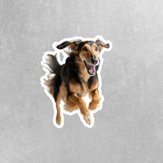 Running Afgan Hound - Vinyl Dog Decal, Cute Afgan Hound Decal, Pet Lover Gift, Car Laptop Sticker, Dog Owner Accessory