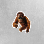 Orangatang Sticker | Running Orangatang Decal for Water Bottles, Laptop, & Car - Fun Jungle Animal Art