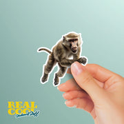 Baboon Sticker | Cute Animal Vinyl Decal for Laptops, Water Bottles & Journals | Hand-Drawn Art Decor