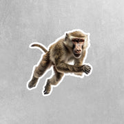 Baboon Sticker | Cute Animal Vinyl Decal for Laptops, Water Bottles & Journals | Hand-Drawn Art Decor