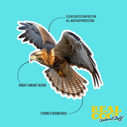 Hawk Sticker | Flying Hawk Decal for Car, Laptop & Wall | Bird of Prey Vinyl Art | Wildlife Lovers Decor