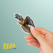 Hawk Sticker | Flying Hawk Decal for Car, Laptop & Wall | Bird of Prey Vinyl Art | Wildlife Lovers Decor