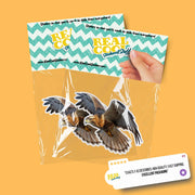 Hawk Sticker | Flying Hawk Decal for Car, Laptop & Wall | Bird of Prey Vinyl Art | Wildlife Lovers Decor